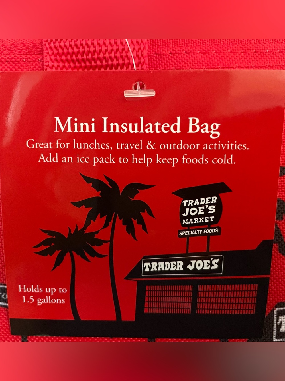 🌺NWT Trader Joe's insulated Aqua Mini Tote - Summer 2025 - Picture 6 of 8